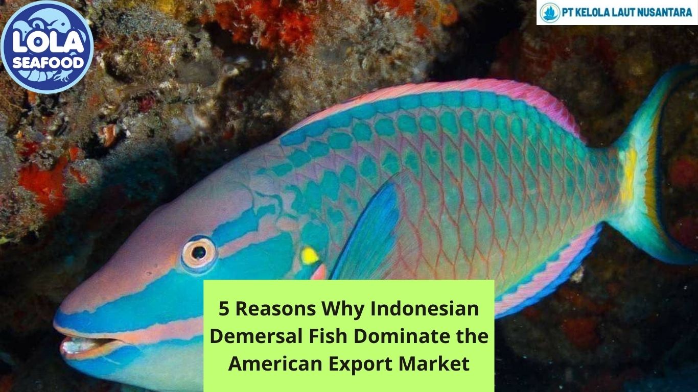 5 Reasons Why Indonesian Demersal Fish Dominate the American Export Market